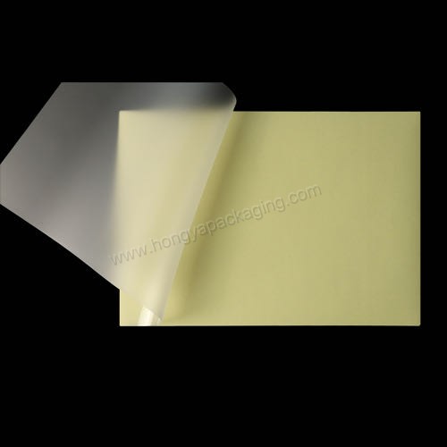 Back Sticky Film